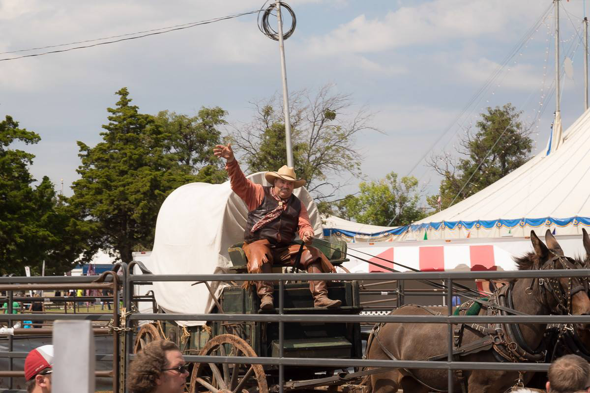 David Roberts driving the wagon at the Wild West Show